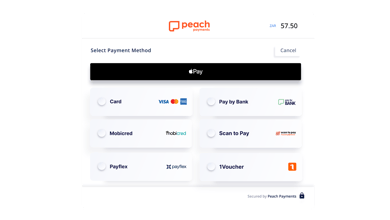 Peach Payments Desktop Checkout - Alpha BG - Resource Section Graphic - Wide