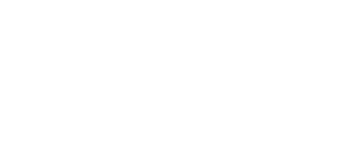 BizCommunity Logo - Light