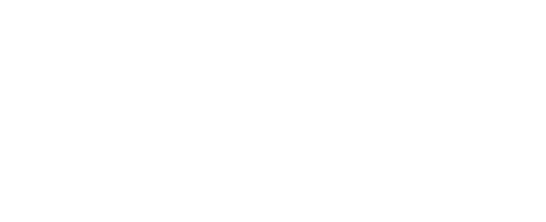 TimesLive Logo - Light