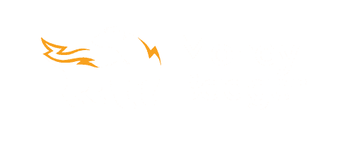 MoneyBadger-Logo-Dark-Background.png