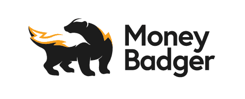MoneyBadger-Logo-Light-Background.png